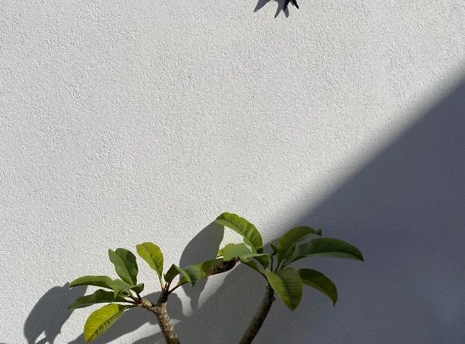 Residencial Arabi 3*